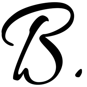 BRAUX STUDIO, un programmeur web à Charleville-Mézières