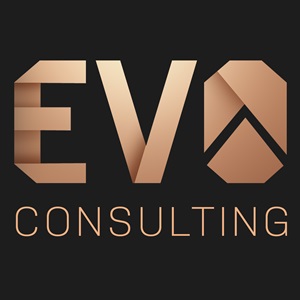 Evo consulting, un codeur de site à Nice