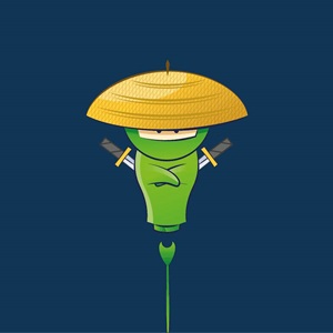 Conversion Boosters, un programmeur à Colmar