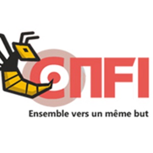 Estelle, un programmeur à Mâcon