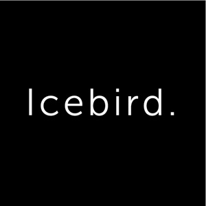 IceBird, un codeur de site à Villefranche-de-Rouergue