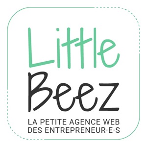 Agence Web Little Beez, un informaticien à Lannion