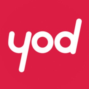 Yod Infographie, un développeur web à Villeurbanne
