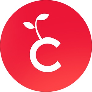 Les Cerises, un représentant d'agence web à La Crau