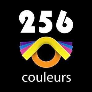 256 Couleurs, un expert Google Ads à La Tour-du-Pin