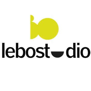lebostudio, un développeur d'application mobile à La Baule Escoublac