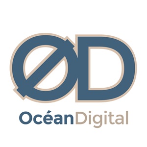OCEAN DIGITAL, un codeur de site marchant à La Rochelle