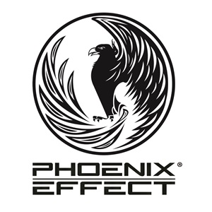 Phoenix Effect, un artiste digital à Rouen