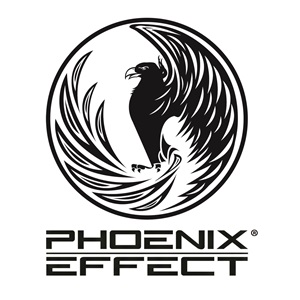 Phoenix Effect, un web designer à Saint-Lô