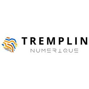 TREMPLIN NUMERIQUE OÜ, un programmeur à Taverny