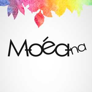 Moéana, un expert en gestion de site web à Biscarrosse