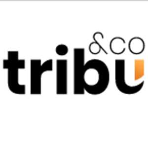 Tribu and Co, un programmeur à Tours