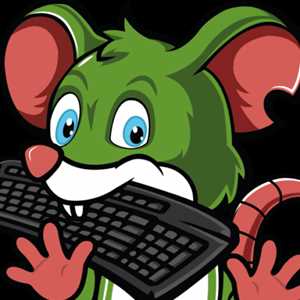 SourisVerte Informatique, un codeur de site à Epinal