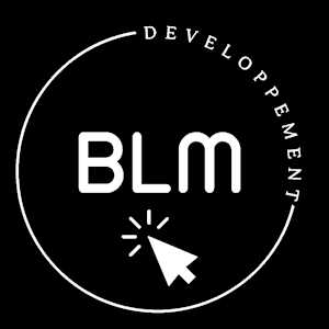 BLM Developpement, un programmeur web à Châtillon