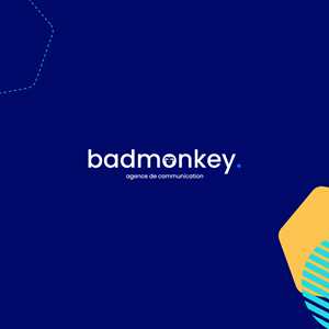 Agence Bad Monkey, un codeur de site marchant à La Rochelle