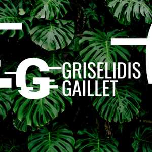 griselidis, un programmeur à Issy-les-Moulineaux