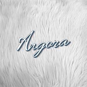 Angora, un designer de logo à Molsheim