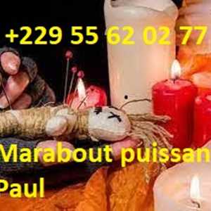 Paul, un programmeur à Carbet