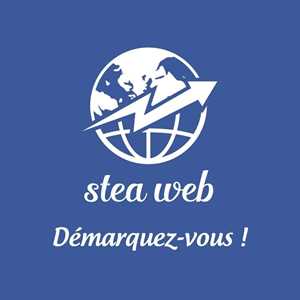 Stea web, un codeur de site marchant à Blois
