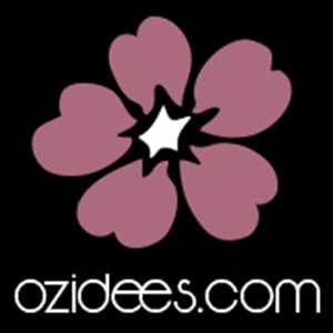 OZIDEES Studio, un webmaster à Beauvais