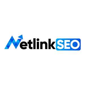 NetlinkSEO, un consultant en référencement à Bordeaux