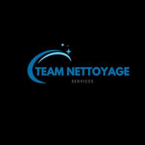 Team Nettoyage, un administrateur de serveur à Segré-en-Anjou Bleu