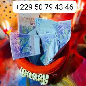 +229 50 79 43 46 DECOUVRER LES BIENFAIT DU PORTEFEUILLE MAGIQUE A DISTANCE , un spécialiste de Google Ads à Saint-Denis