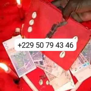 +229 50 79 43 46 UTILITER DU VRAI PORTEFEUILLE MAGIQUE A DISTANCE , un consultant Google Ads à Saint-Denis