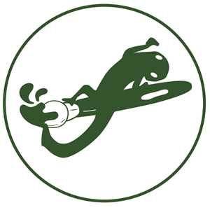 CAMELEONGRAPH, un webmaster à Libourne